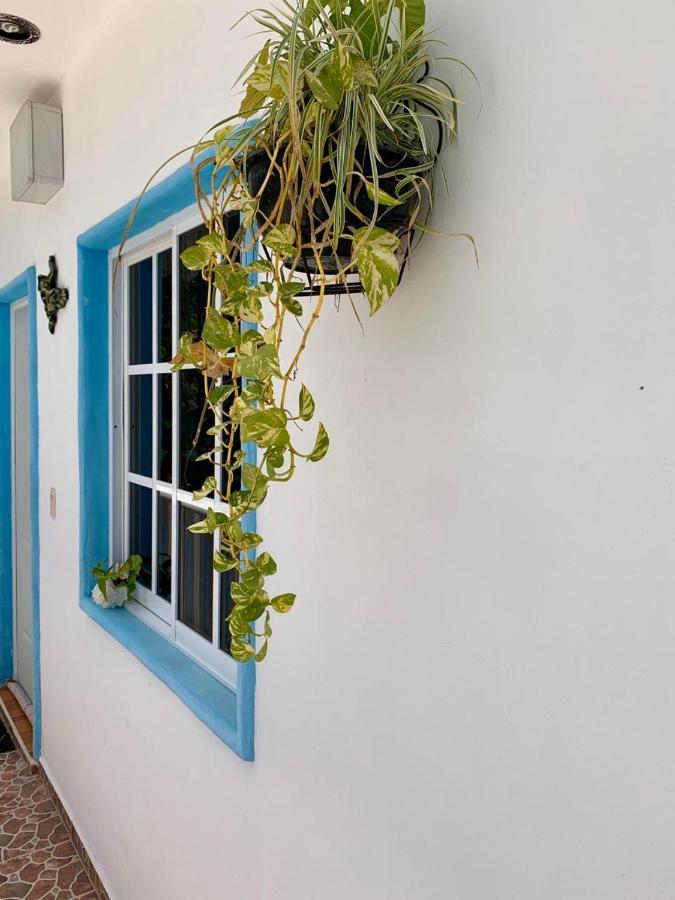 Estudios Rehilete Isla Holbox Exterior photo