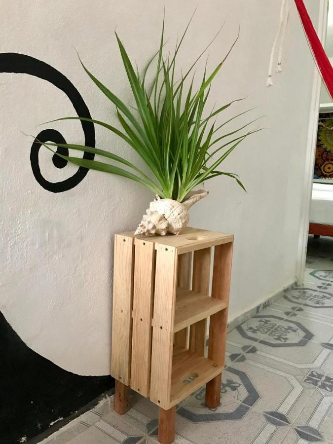 Estudios Rehilete Isla Holbox Exterior photo