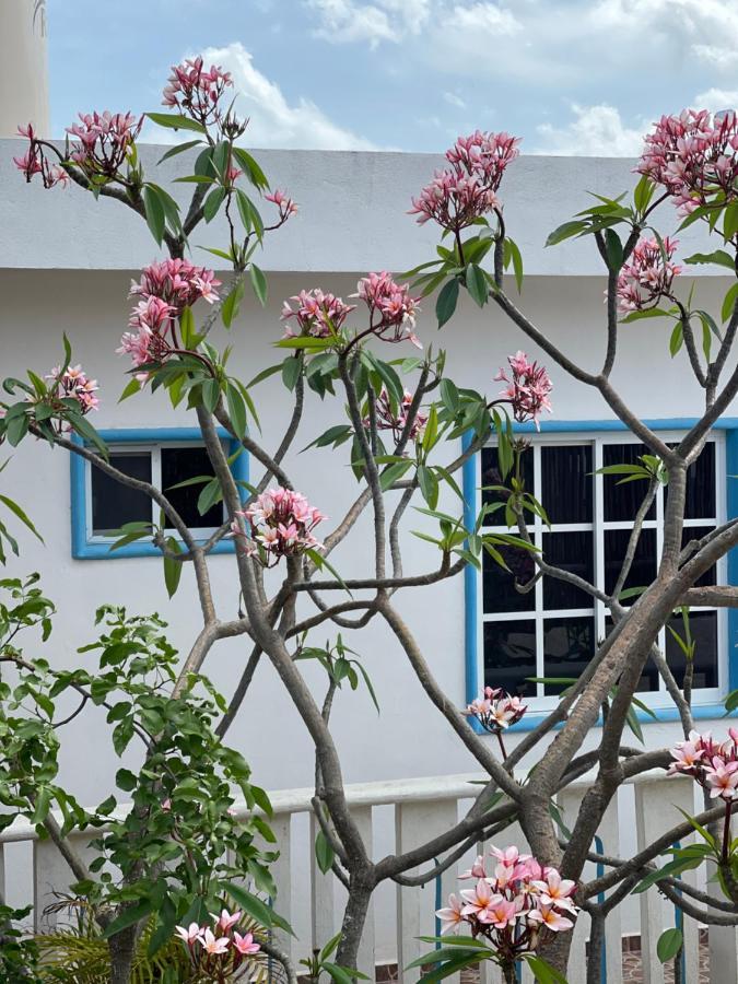 Estudios Rehilete Isla Holbox Exterior photo