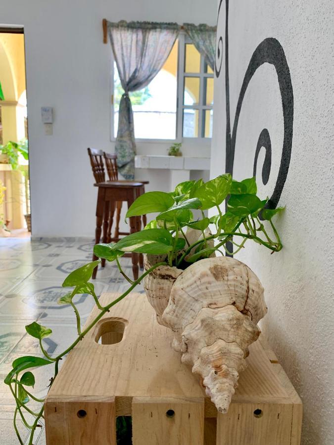 Estudios Rehilete Isla Holbox Exterior photo